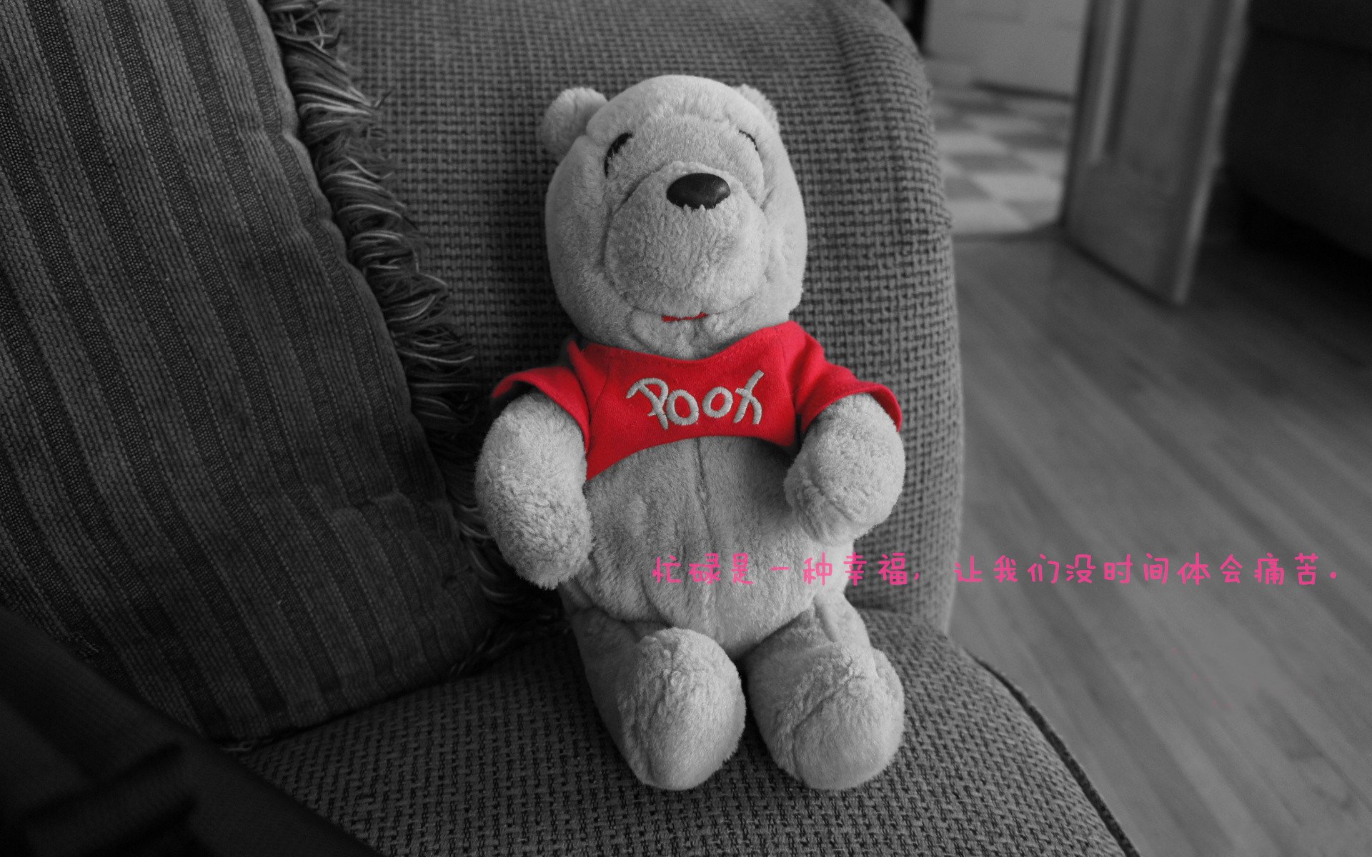 乐鱼体育官网注册-曹缘3米跳板决赛完美发挥摘金，曹缘十米跳台